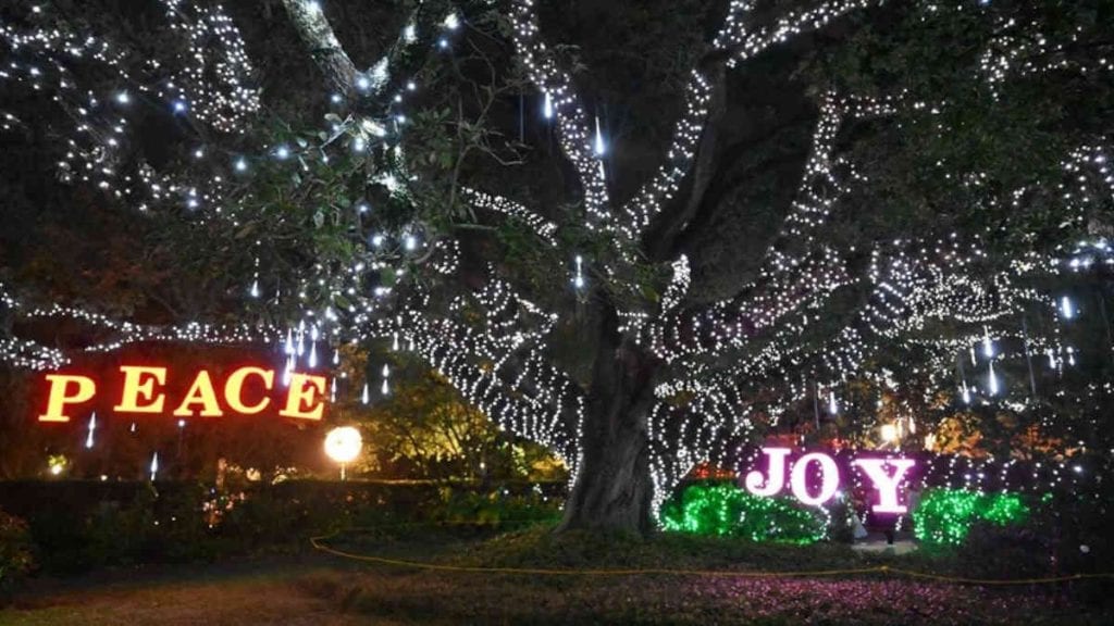Celebration in the Oaks - Peace & Joy light Display