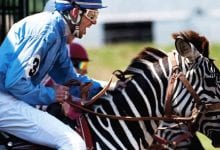 Exotic Animal Racing 2020 | New Orleans Local