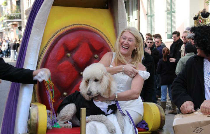 Barkus Parade Duchess | New Orleans Local