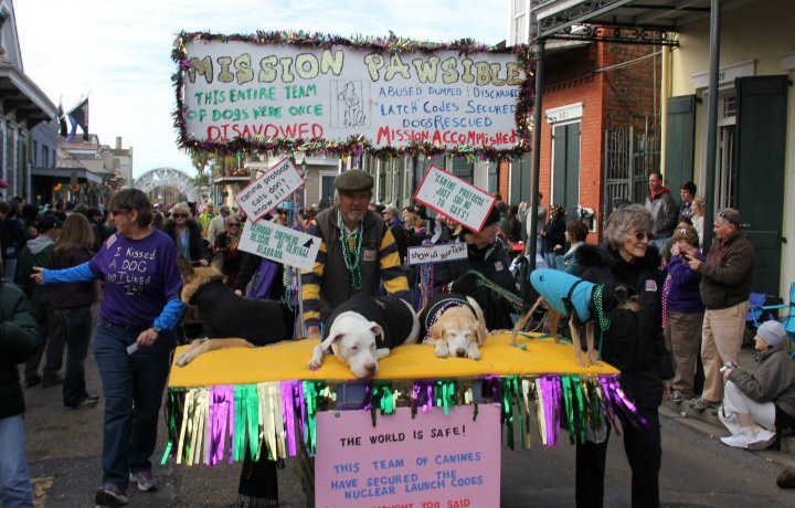 Barkus Parade Float | New Orleans Local