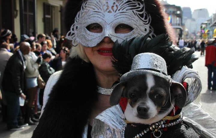 Barkus Parade Margarita Bergen | New Orleans Local