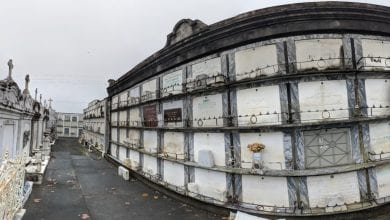 Saint Vincent De Paul Cemetery