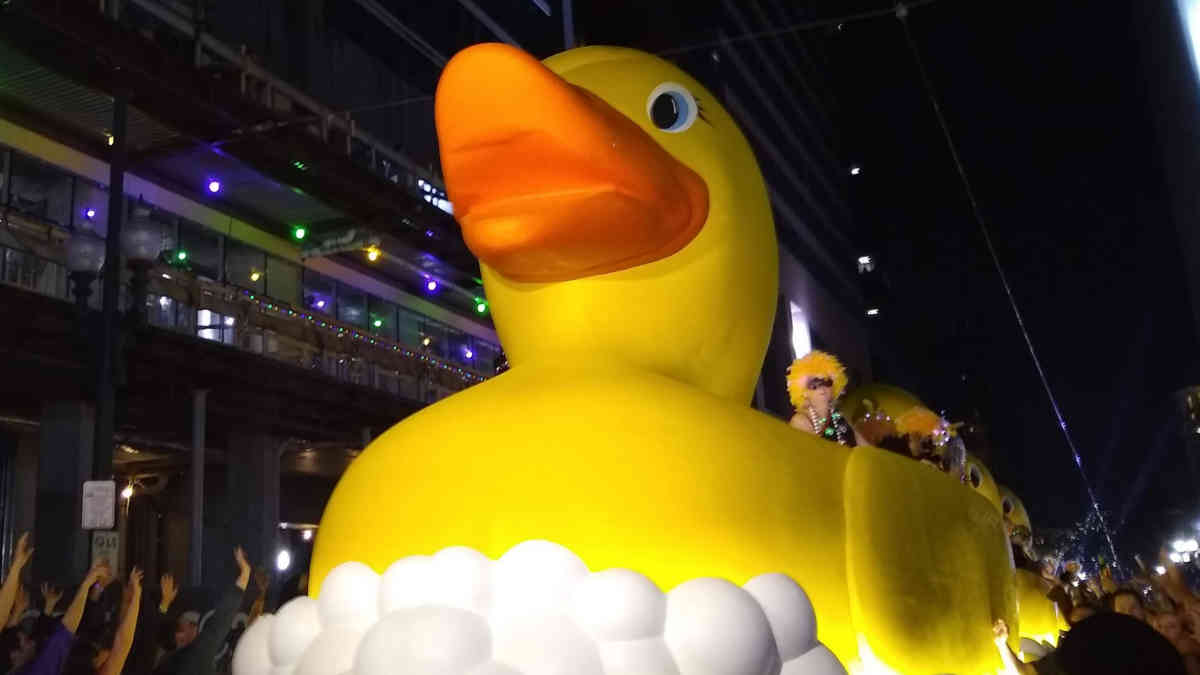 Muses Duck Float | New Orleans Local