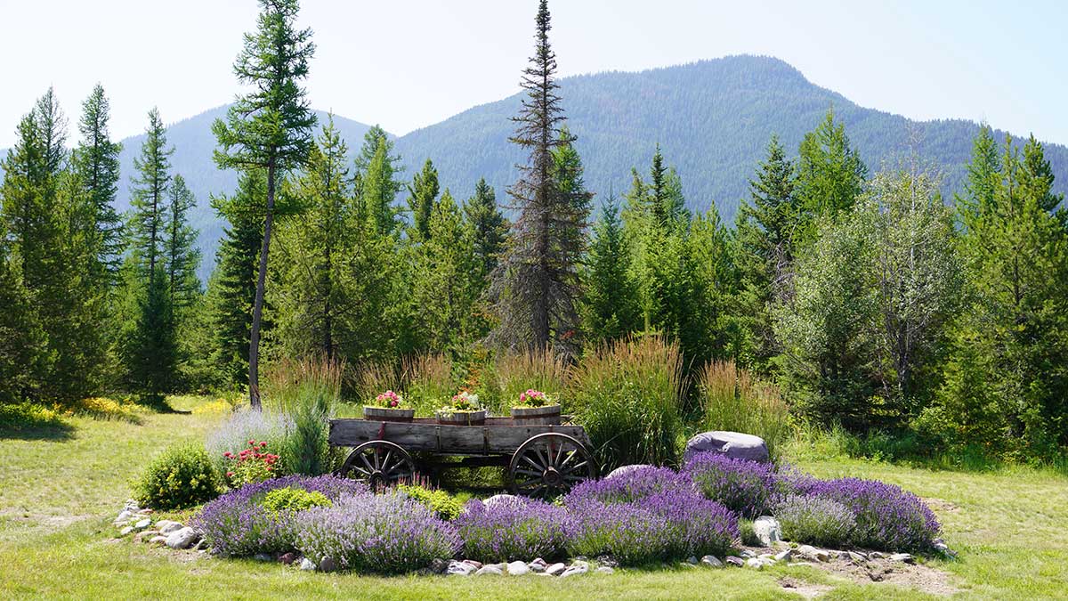 Glacier National Park | New Orleans Local