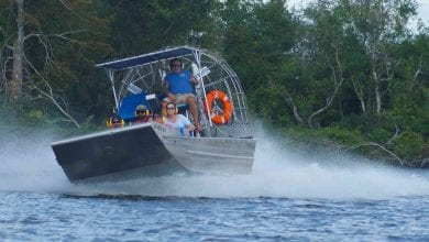 Swamp Tour Time & Airboat Swamp Tours | New Orleans Local & Jean Lafitte Seafood Festival