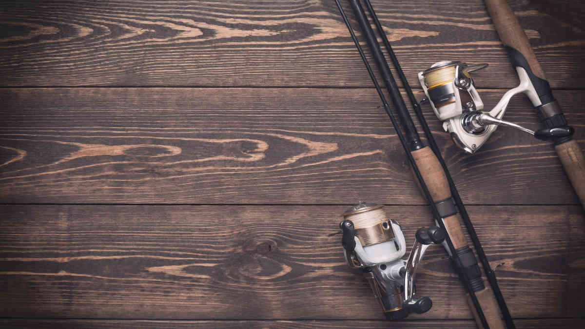 Free Fishing