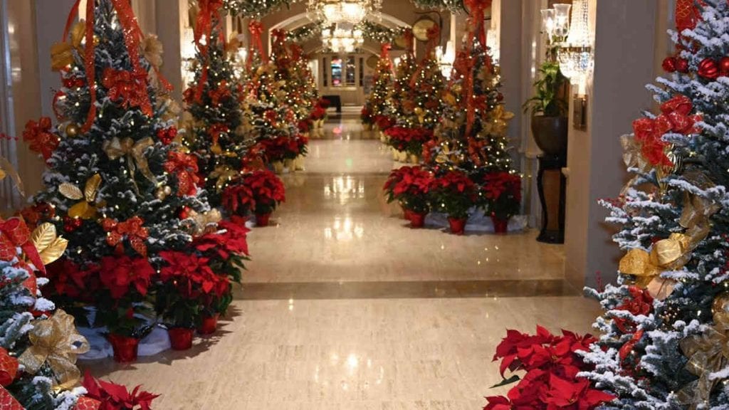 Lighting of Royal Sonesta Christma Trees and Santa's Pajama Party 2020