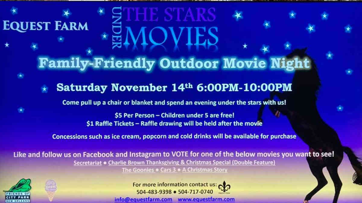 Movies Under the Stars Movie Night