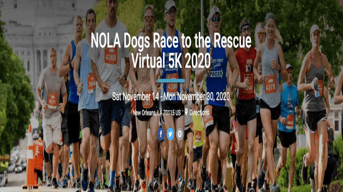 NOLA Dogs Race to the Rescue 5K