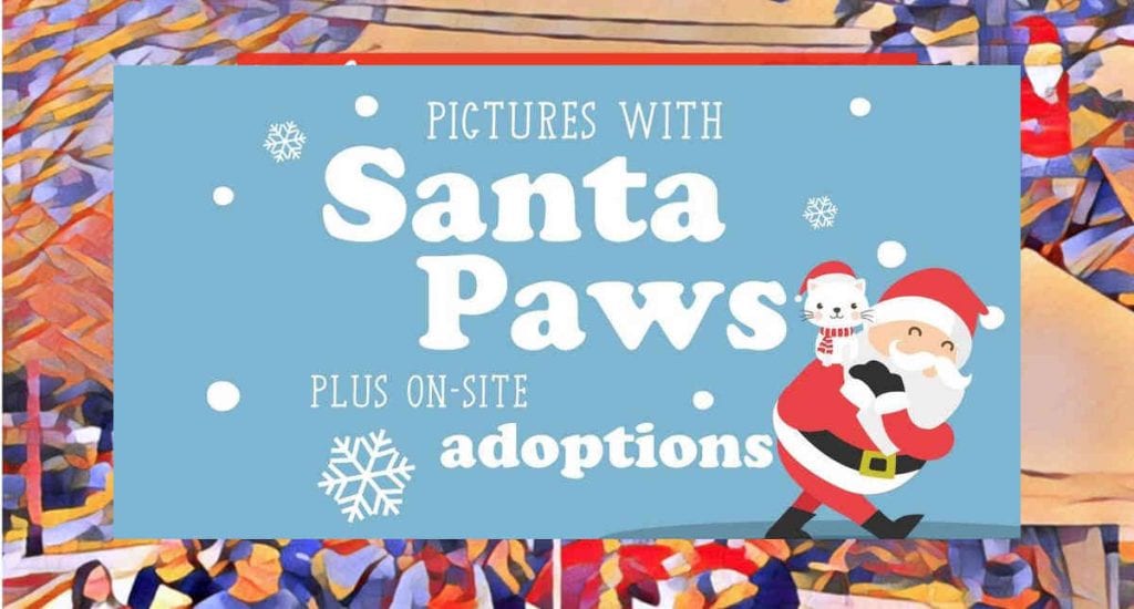 Pictures with Santa Paws at Christmas Past Market