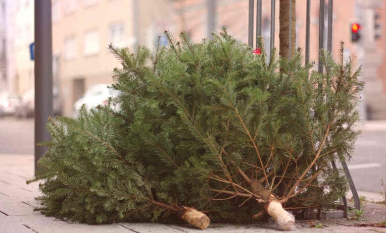 Christmas Tree Recycling 2021