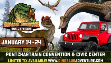 Dinosaur Adventure Drive-thru