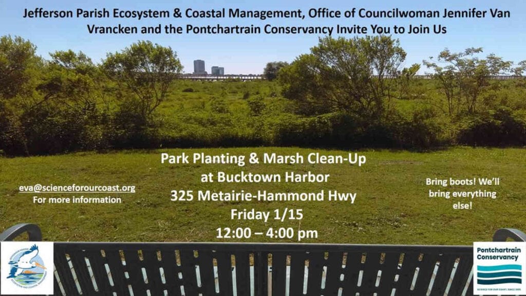 Park Planting & Marsh Clean-Up at Bucktown Harbor - Day Service