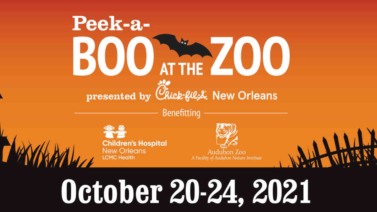 Boo At The Zoo 2024 New Orleans La Ilene Lavinie