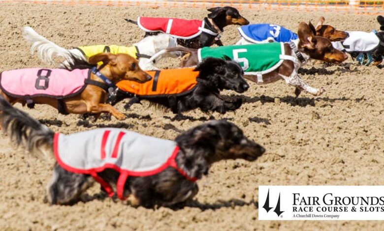 New Orleans Local - Weiner Dog Racing