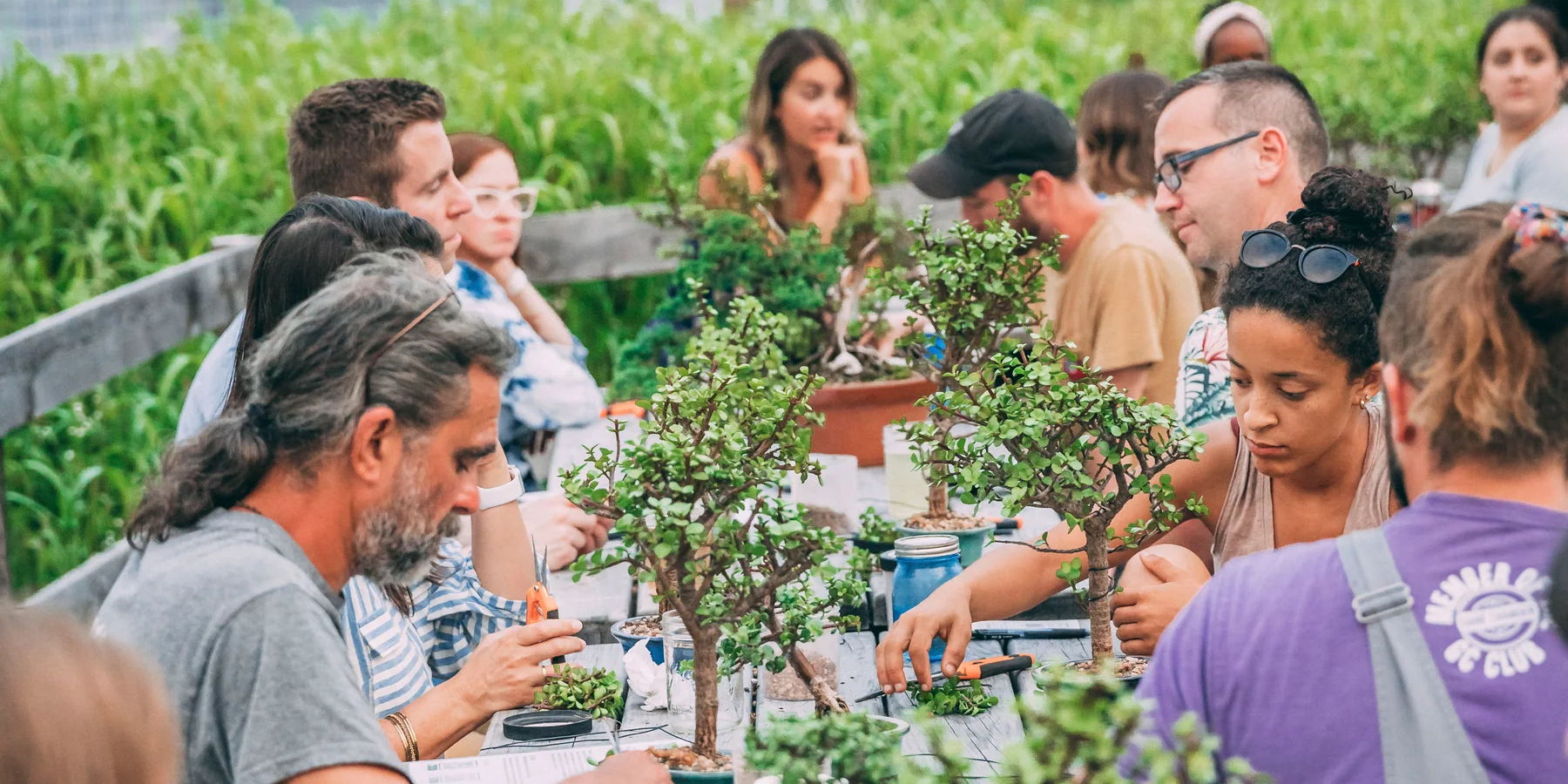 Bonsai Bar Workshop at Oak Street Brewery